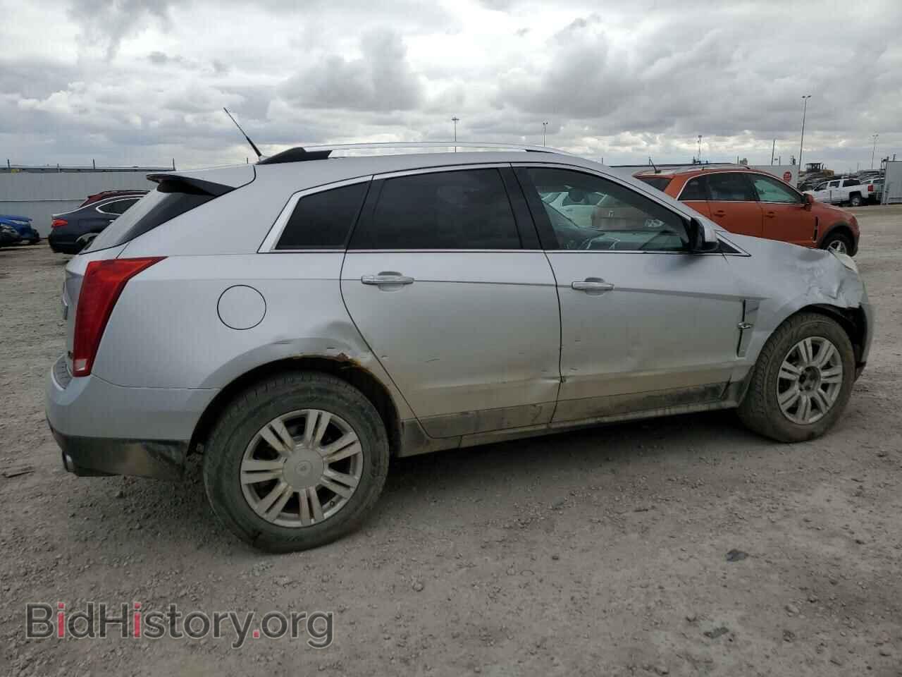 2010 CADILLAC SRX - VIN: 3GYFNDEY1AS629935 - Фото 3