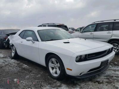 2013 Dodge CHALLENGER, белый — VIN 2C3CDYAG2DH607552, Copart