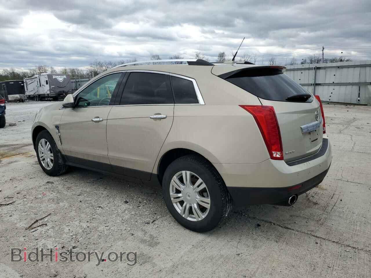 2010 CADILLAC SRX - VIN: 3GYFNAEY2AS521824 - Фото 2