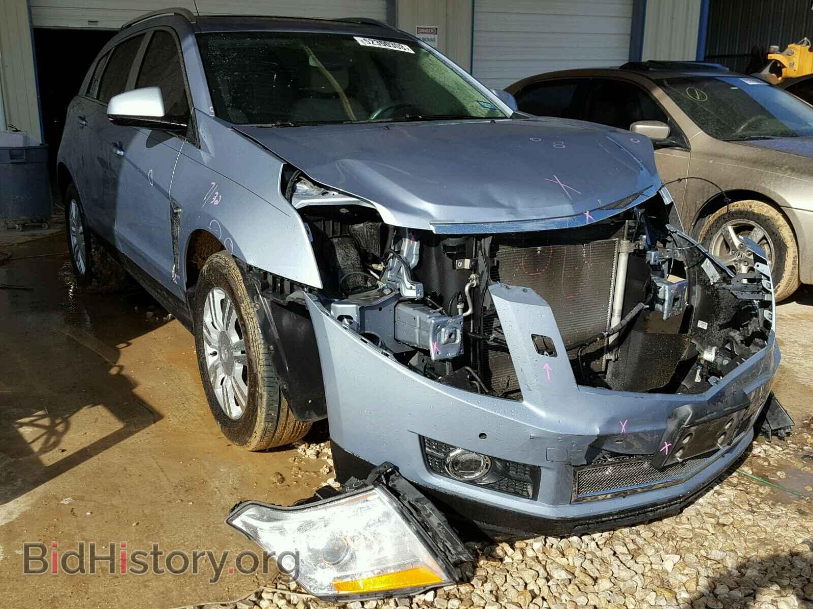 Фотография 3GYFNDE38DS644733 - CADILLAC SRX PERFOR 2013