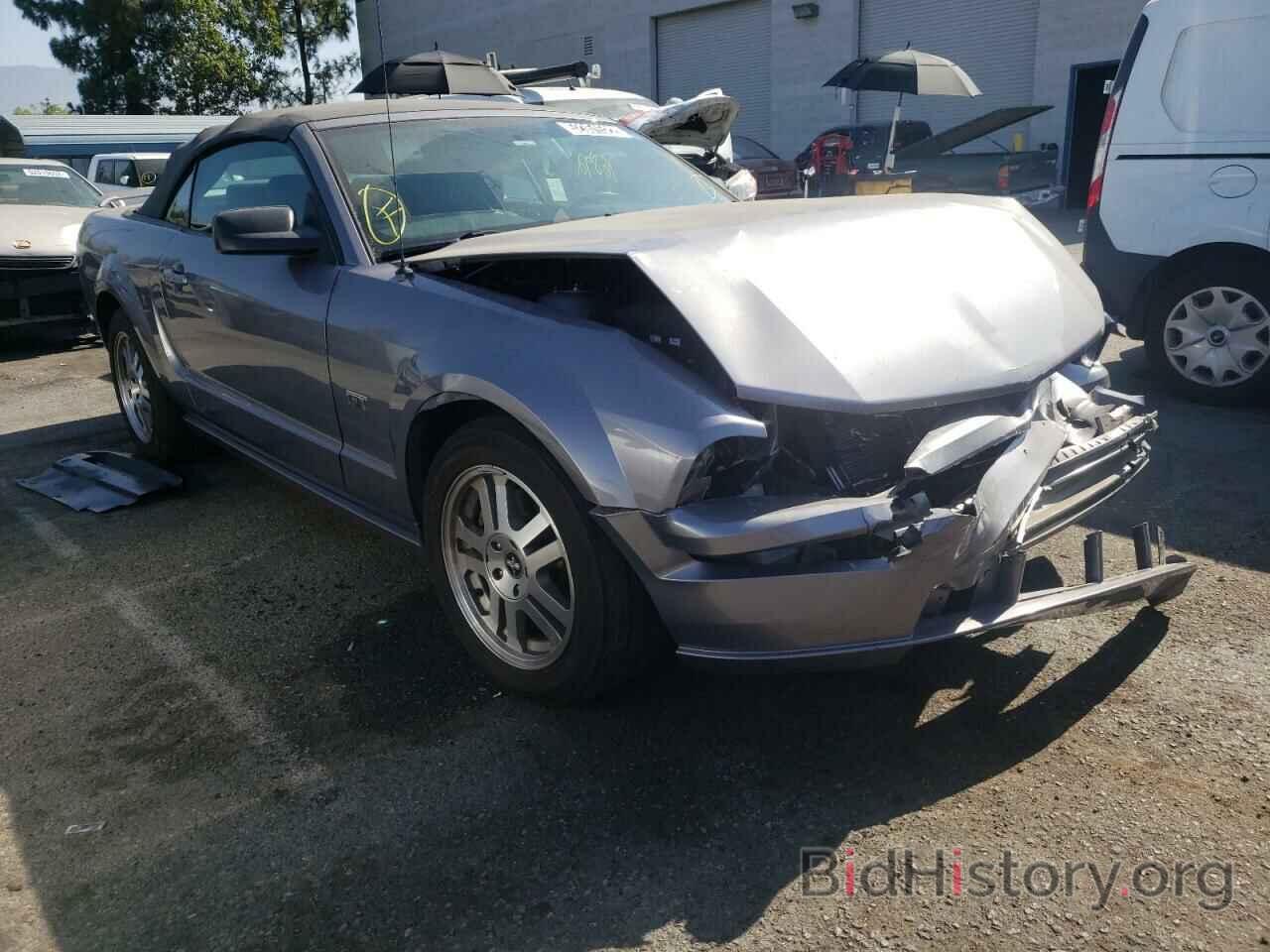 Photo 1ZVFT85H365113206 - FORD MUSTANG 2006