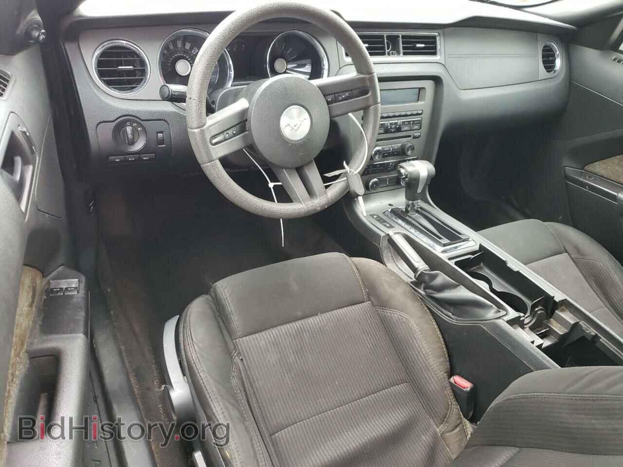 2011 FORD ALL Models - VIN: 1ZVBP8AM1B5131302 - Фото 8