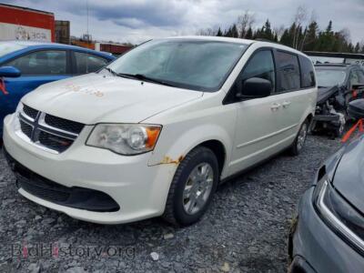 2013 Dodge CARAVAN SE, белый — VIN 2C4RDGBG0DR544640, Copart