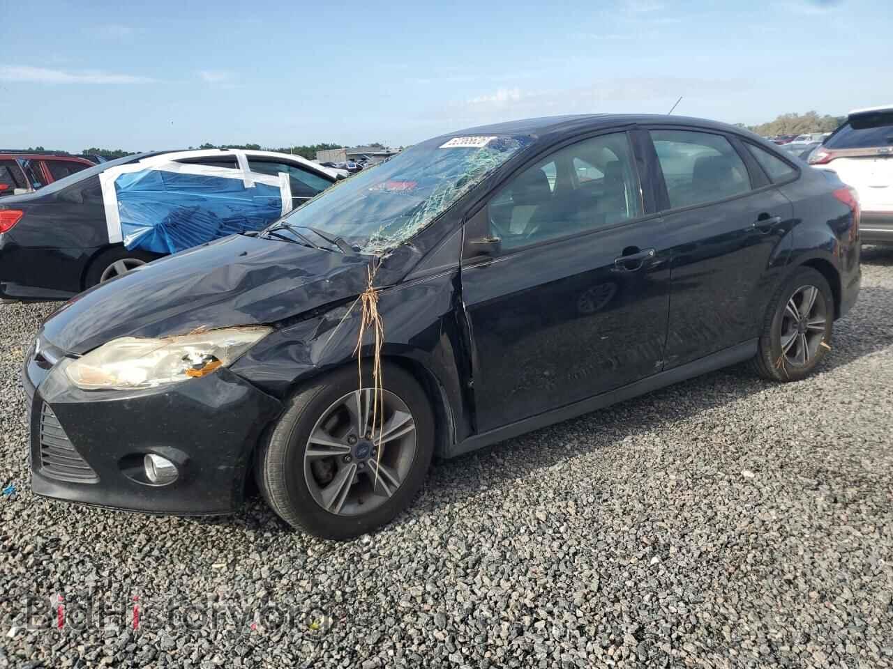 Photo 1FADP3F29EL262490 - FORD FOCUS 2014