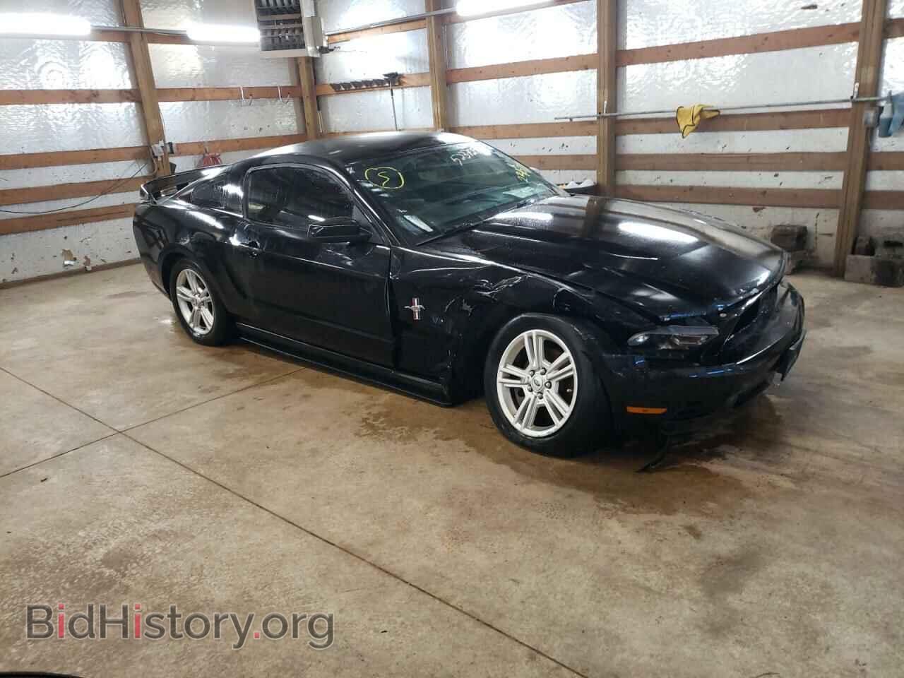 Фотография 1ZVBP8AM1C5221079 - FORD MUSTANG 2012