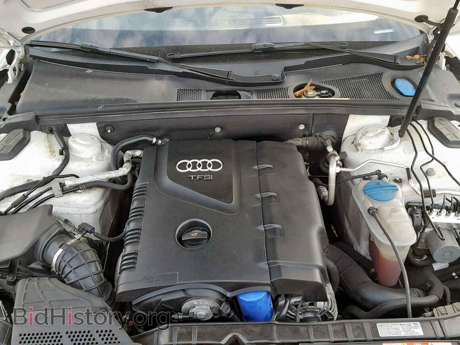 2010 AUDI A4 - VIN: WAUFFAFL4AN005607 - Фото 7