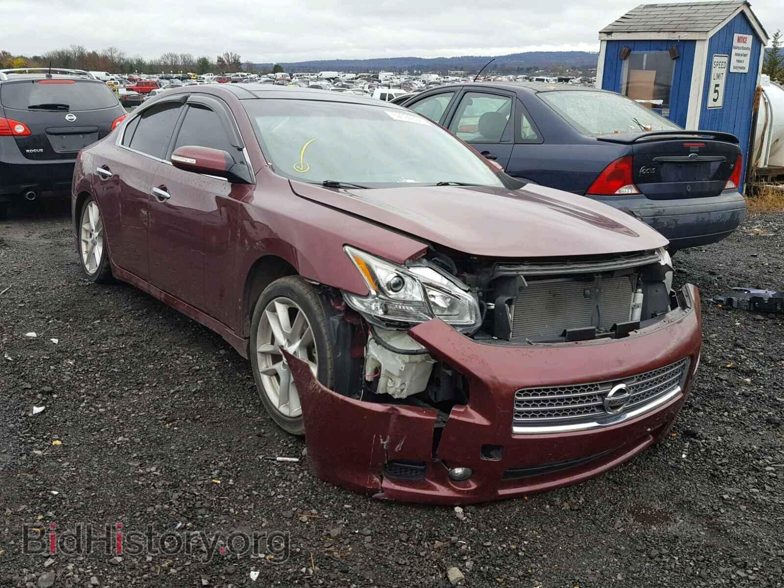 Photo 1N4AA51E79C856468 - NISSAN MAXIMA S 2009