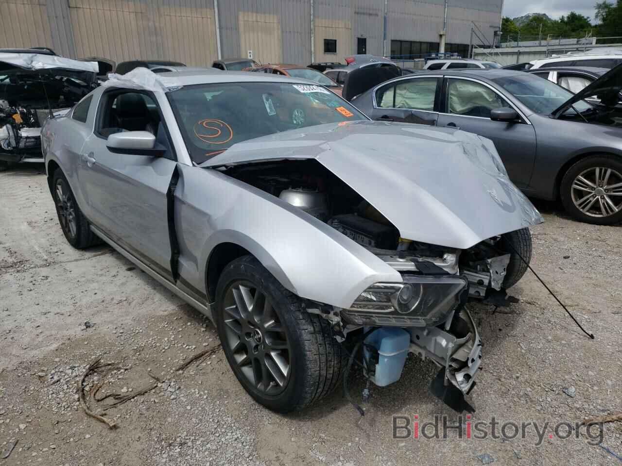 Photo 1ZVBP8AM1D5205871 - FORD MUSTANG 2013