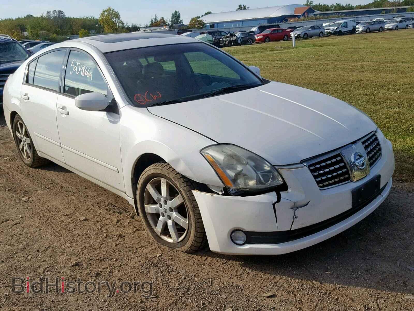 Photo 1N4BA41E85C814027 - NISSAN MAXIMA 2005