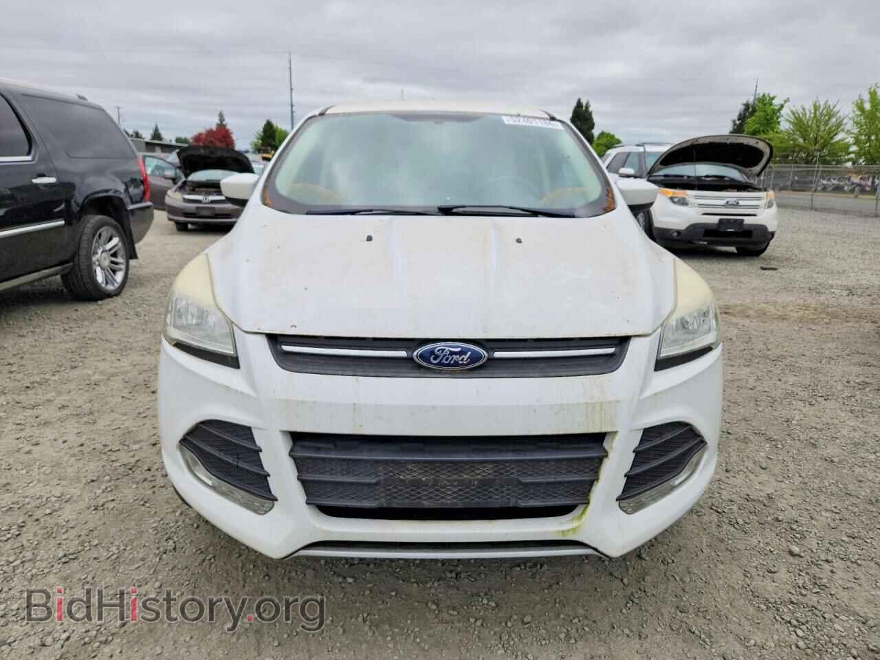 2014 FORD ESCAPE - VIN: 1FMCU0GX4EUA71427 - Фото 5