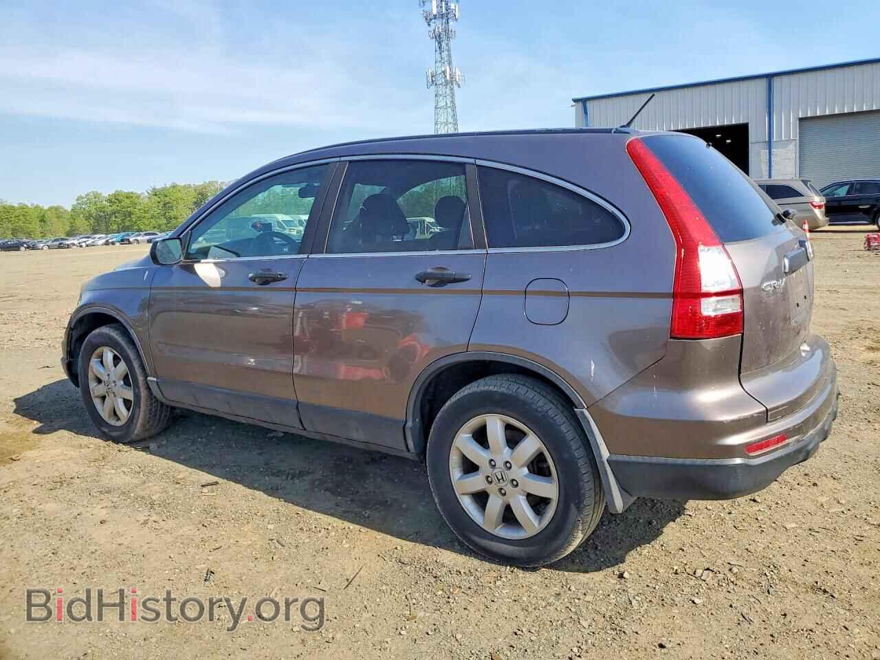 2011 HONDA CRV - VIN: 5J6RE4H40BL004374 - Фото 2