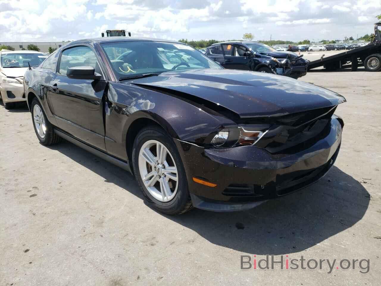 Photo 1ZVBP8AM5C5202633 - FORD MUSTANG 2012