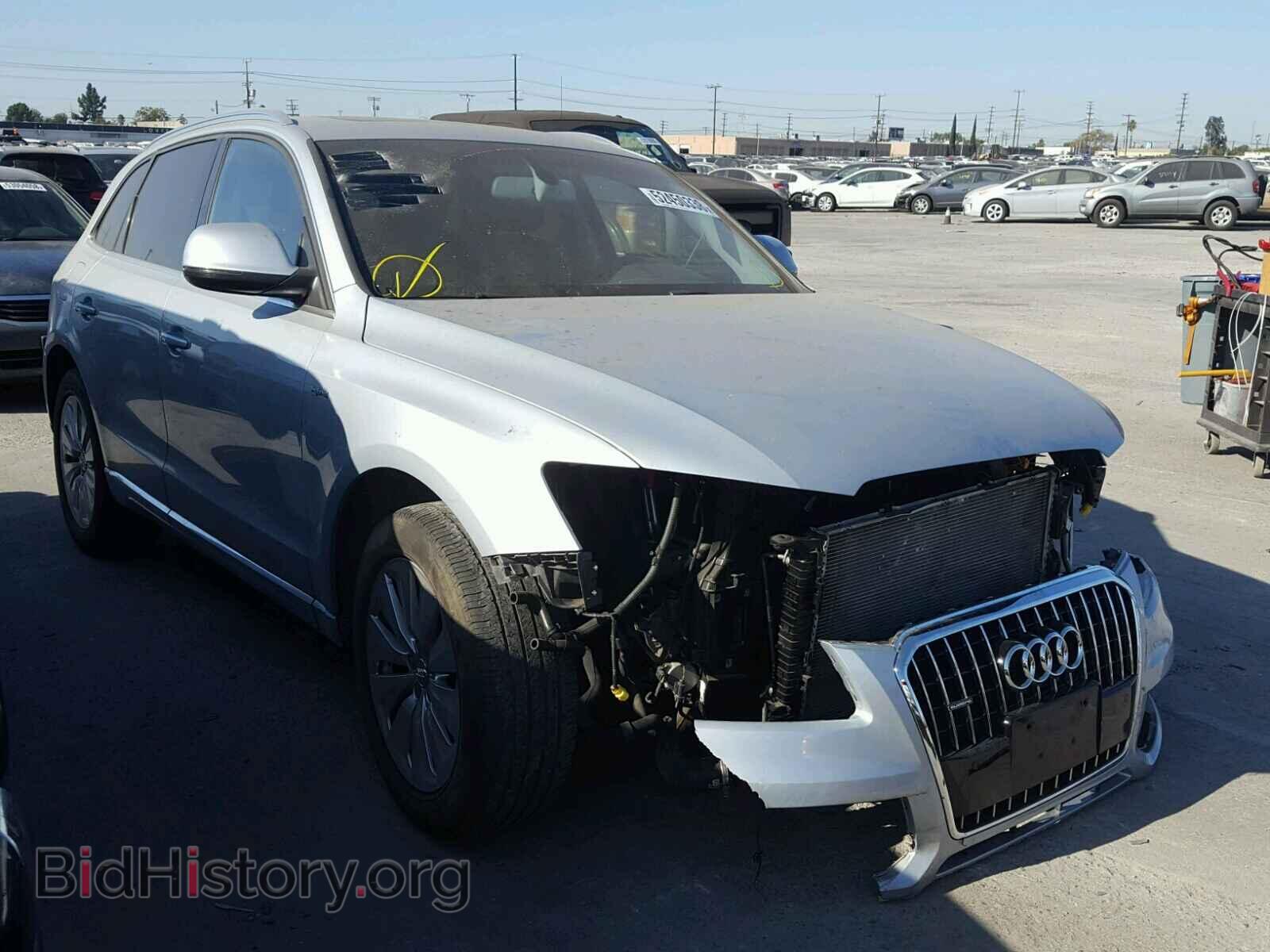 Photo WA1C8AFP8DA018076 - AUDI Q5 2013