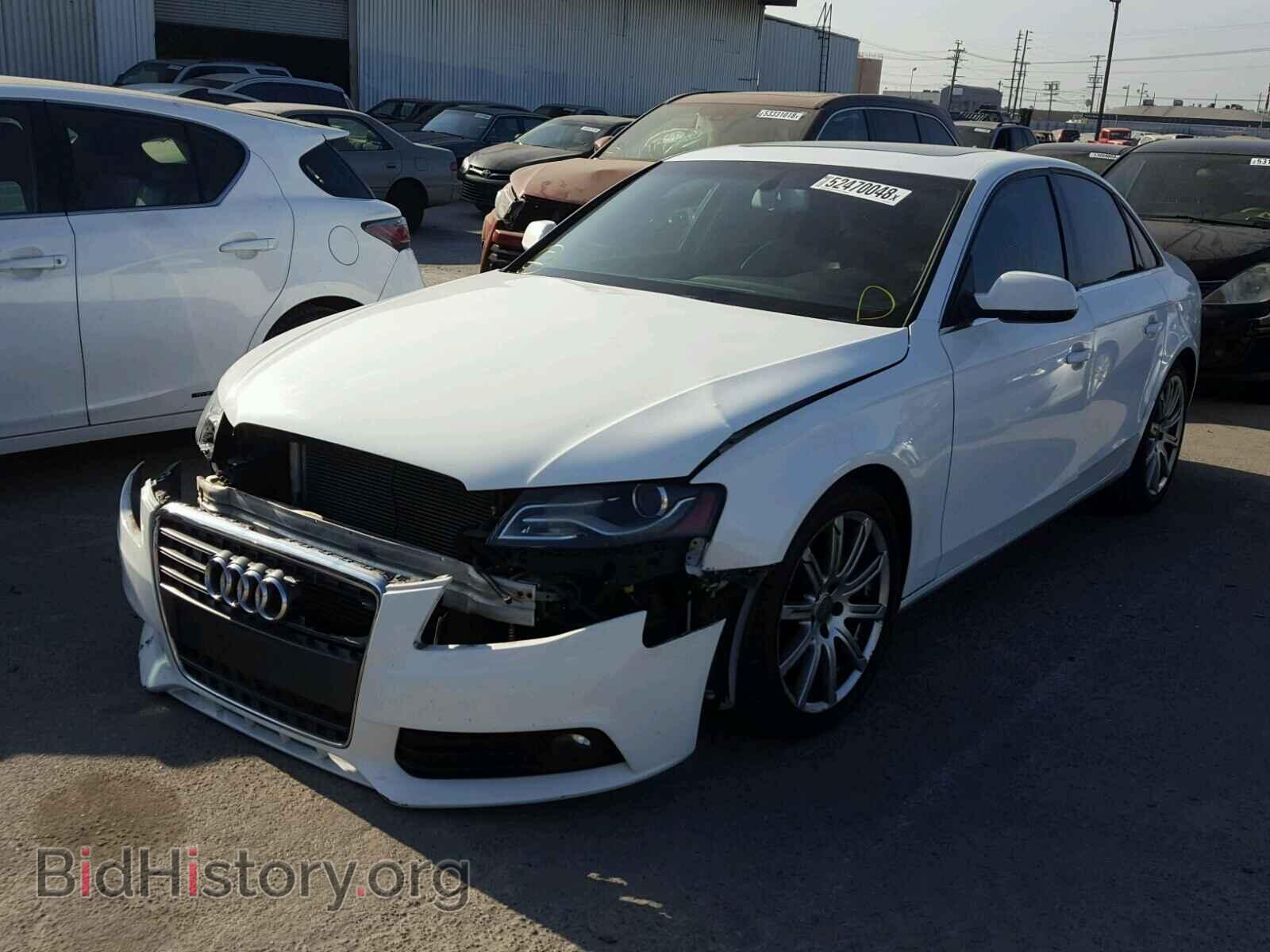 2010 AUDI A4 - VIN: WAUEFAFLXAN060106 - Фото 2