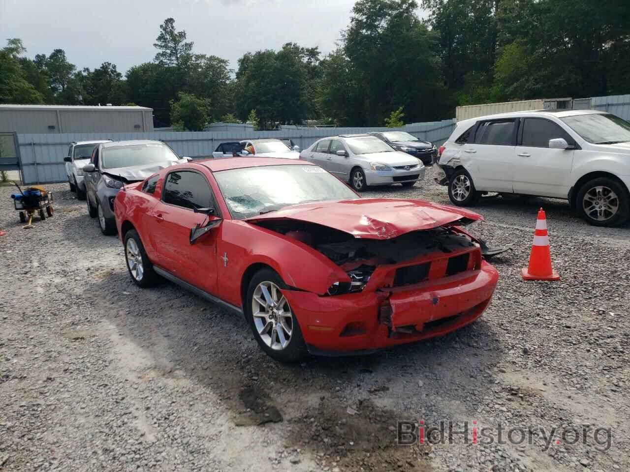 Photo 1ZVBP8AN2A5172609 - FORD MUSTANG 2010
