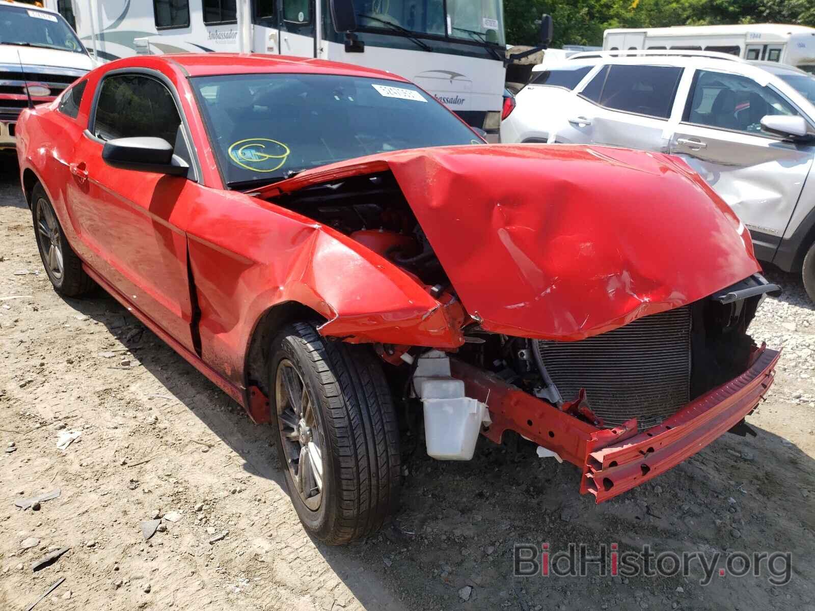 Photo 1ZVBP8AM8E5276275 - FORD MUSTANG 2014
