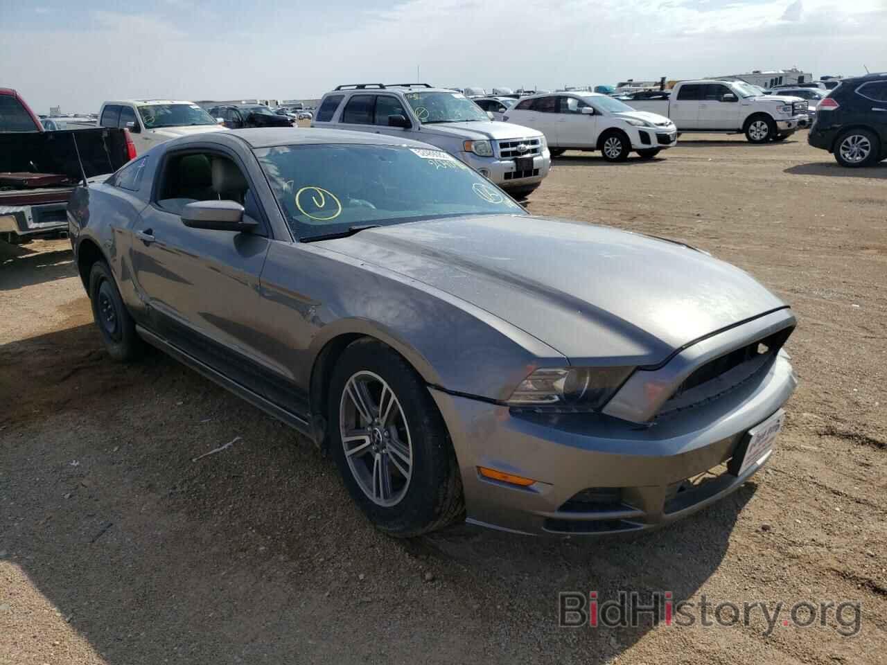 Photo 1ZVBP8AM7D5204093 - FORD MUSTANG 2013
