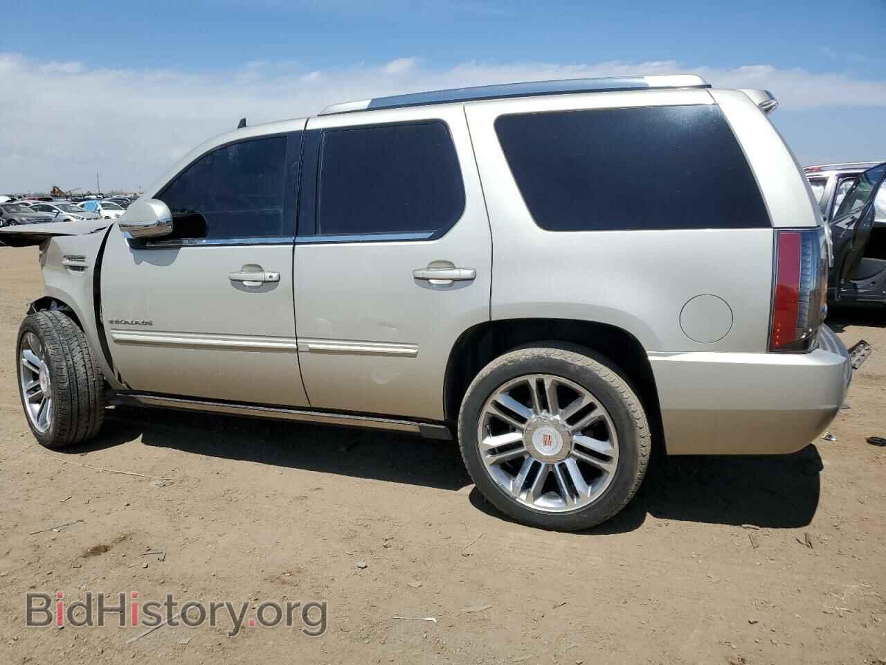 2013 CADILLAC ESCALADE - VIN: 1GYS4CEF7DR145883 - Фото 2