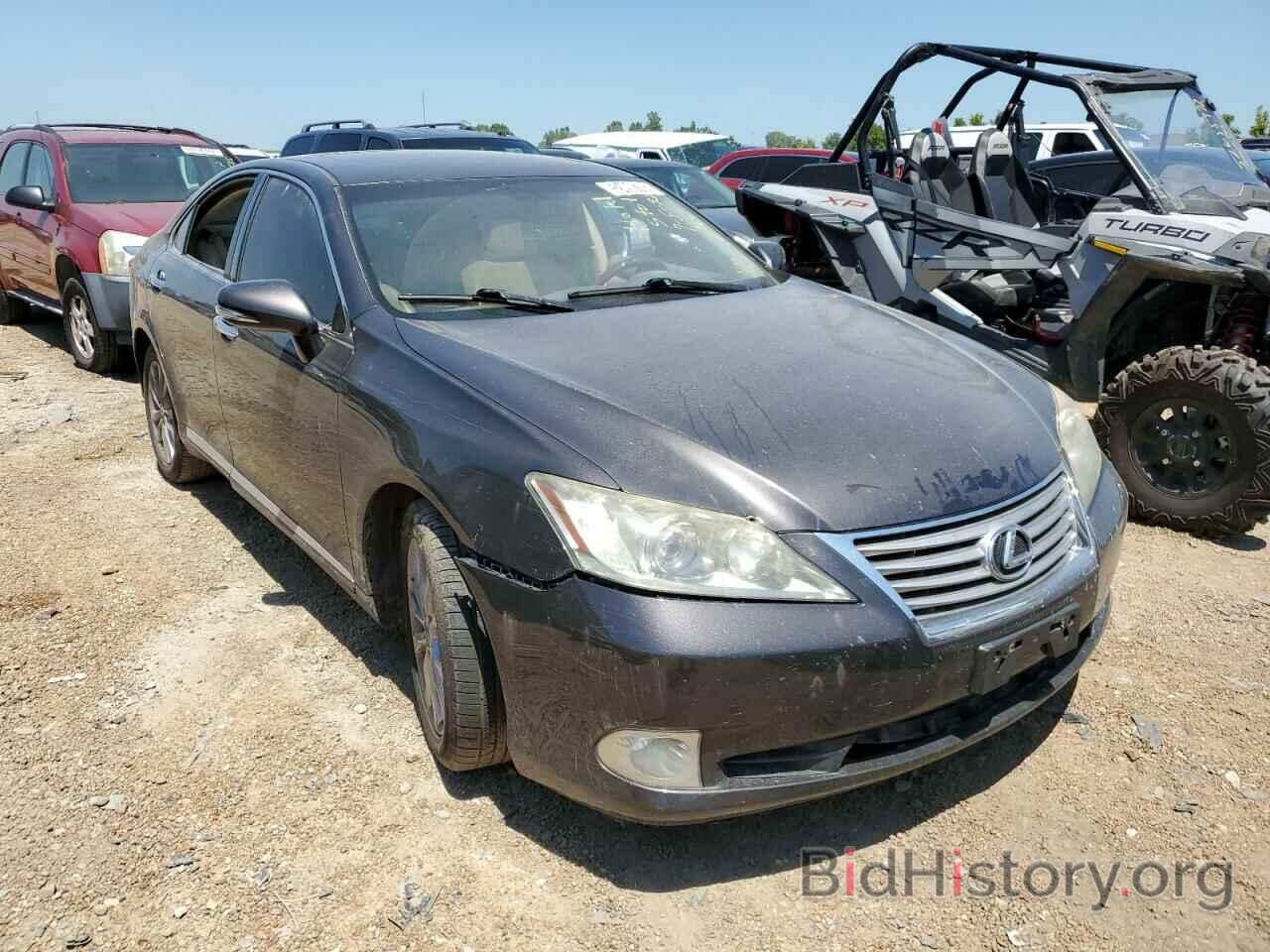 Фотография JTHBK1EG1A2409143 - LEXUS ES350 2010