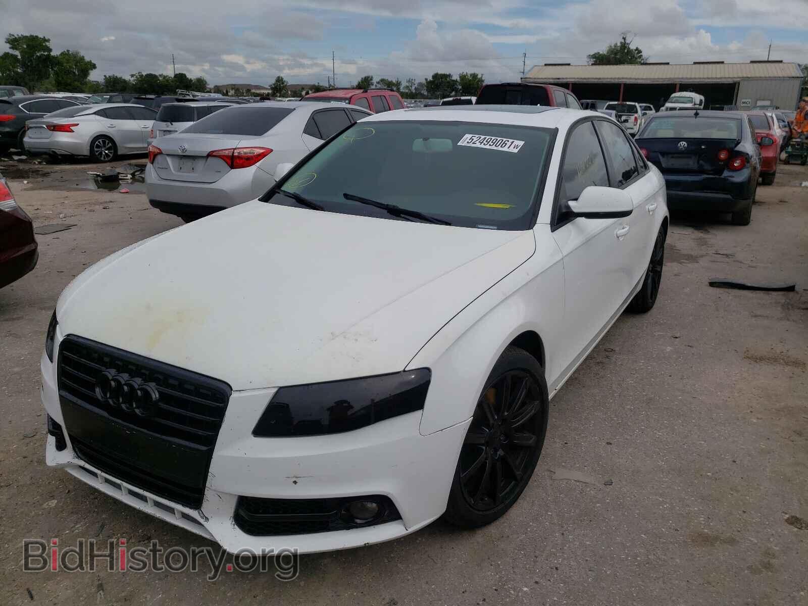 2010 AUDI A4 - VIN: WAUAFAFL1AN014520 - Фото 2