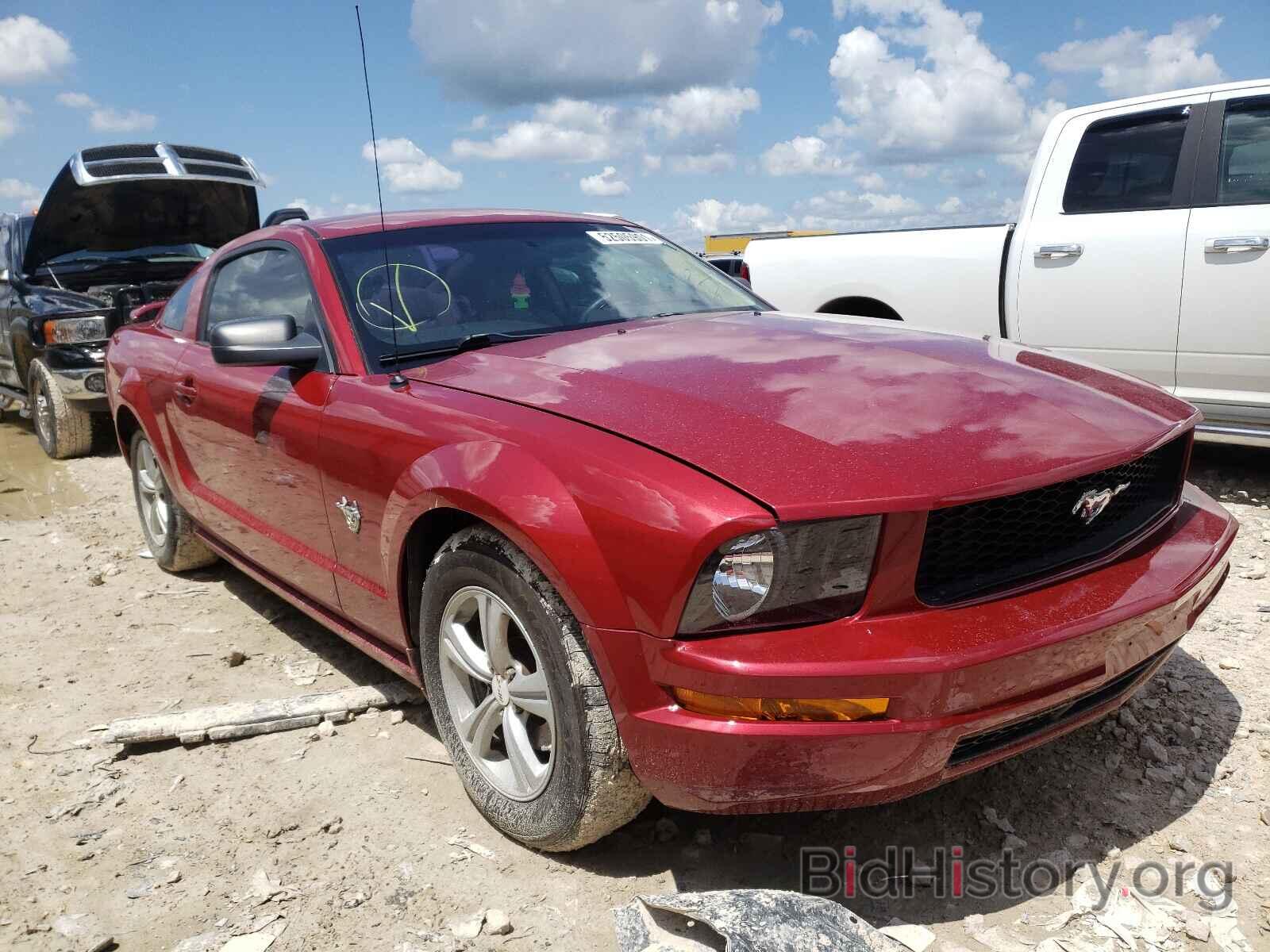 Photo 1ZVHT80N795146638 - FORD MUSTANG 2009