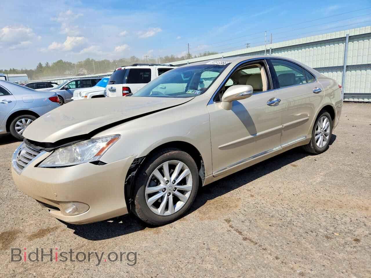 Фотография JTHBK1EG3C2500269 - LEXUS ES350 2012