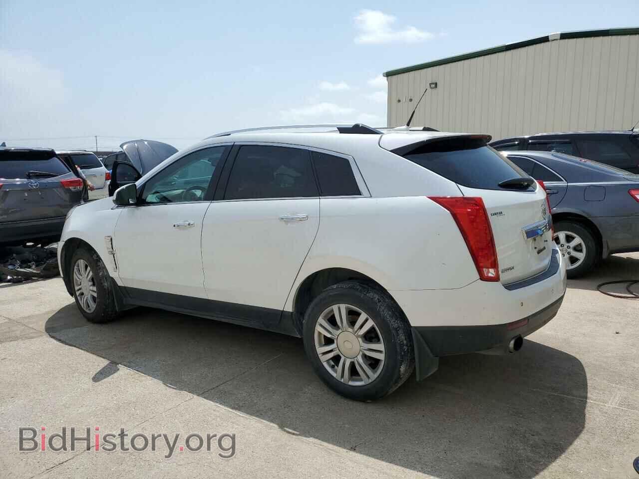 2011 CADILLAC SRX - VIN: 3GYFNAEY0BS585720 - Фото 2