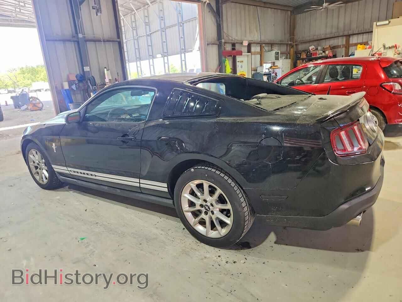 2010 FORD ALL Models - VIN: 1ZVBP8AN9A5135217 - Фото 2