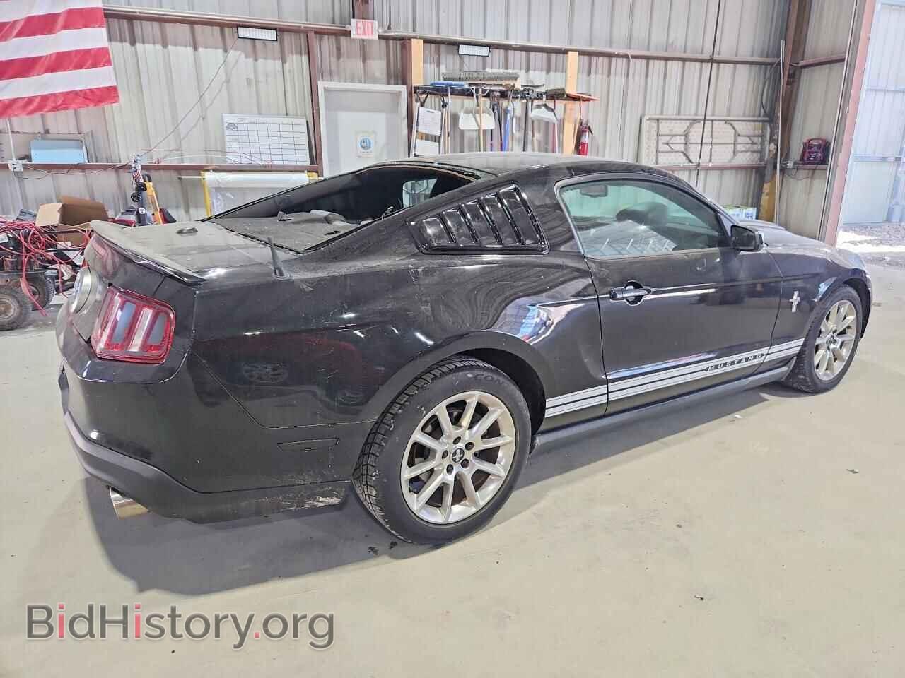 2010 FORD ALL Models - VIN: 1ZVBP8AN9A5135217 - Фото 3