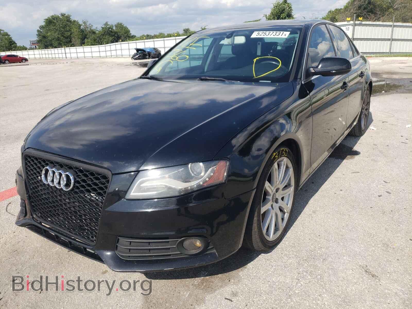 2010 AUDI A4 - VIN: WAUEFAFL1AN013210 - Фото 2