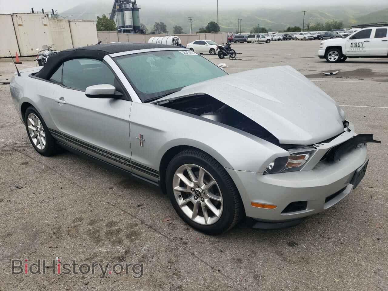 2011 FORD ALL Models - VIN: 1ZVBP8EM9B5131834 - Фото 4