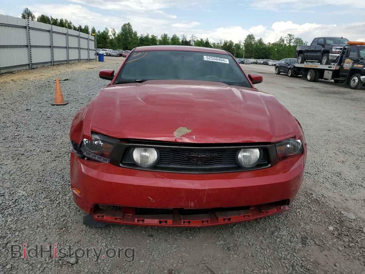 2010 FORD MUSTANG - VIN: 1ZVBP8CH5A5150868 - Фото 5