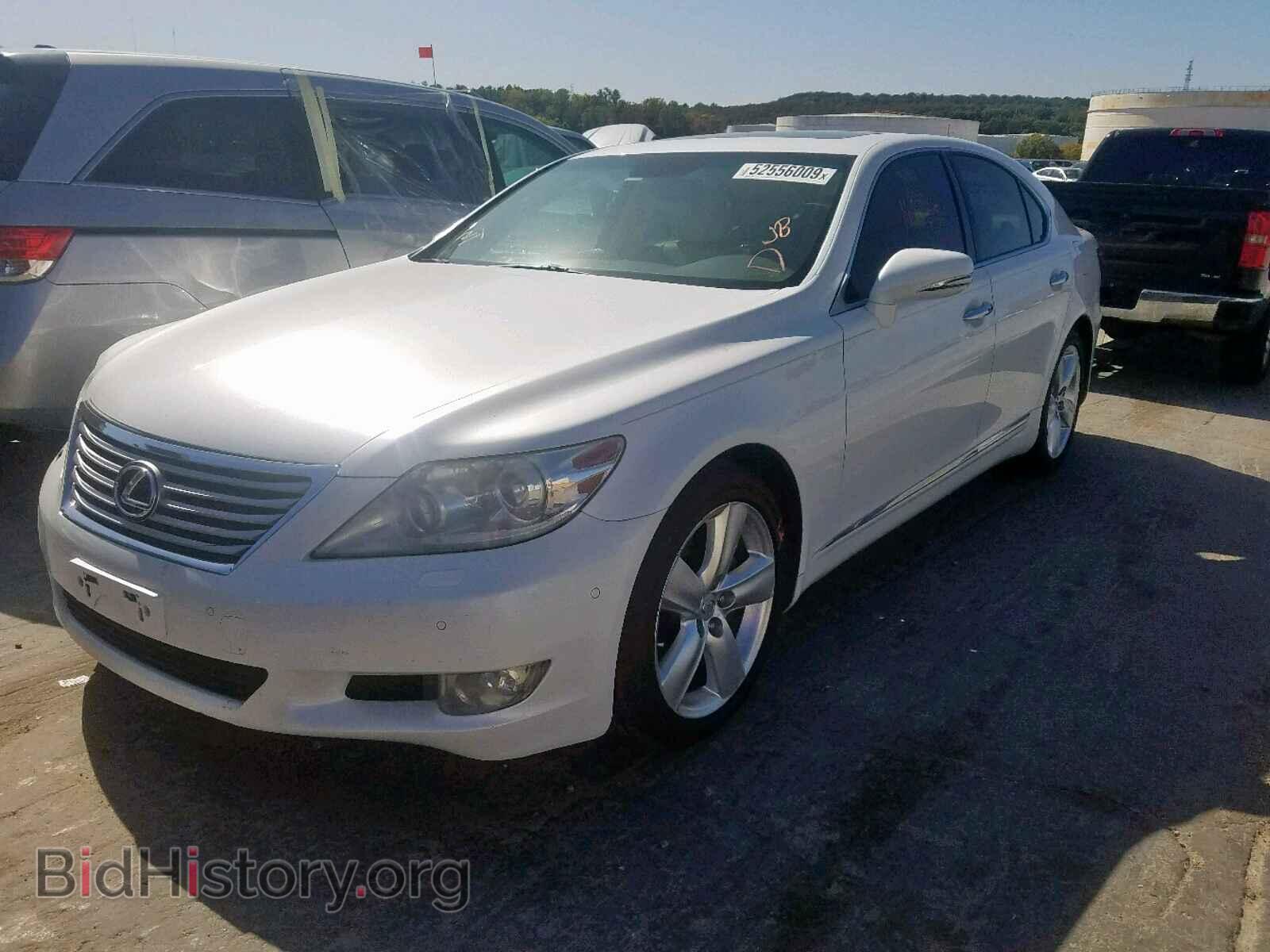 2011 LEXUS LS460 - VIN: JTHBL5EF6B5103499 - Фото 2