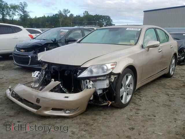 2012 LEXUS LS460 - VIN: JTHBL5EF7C5112391 - Фото 2