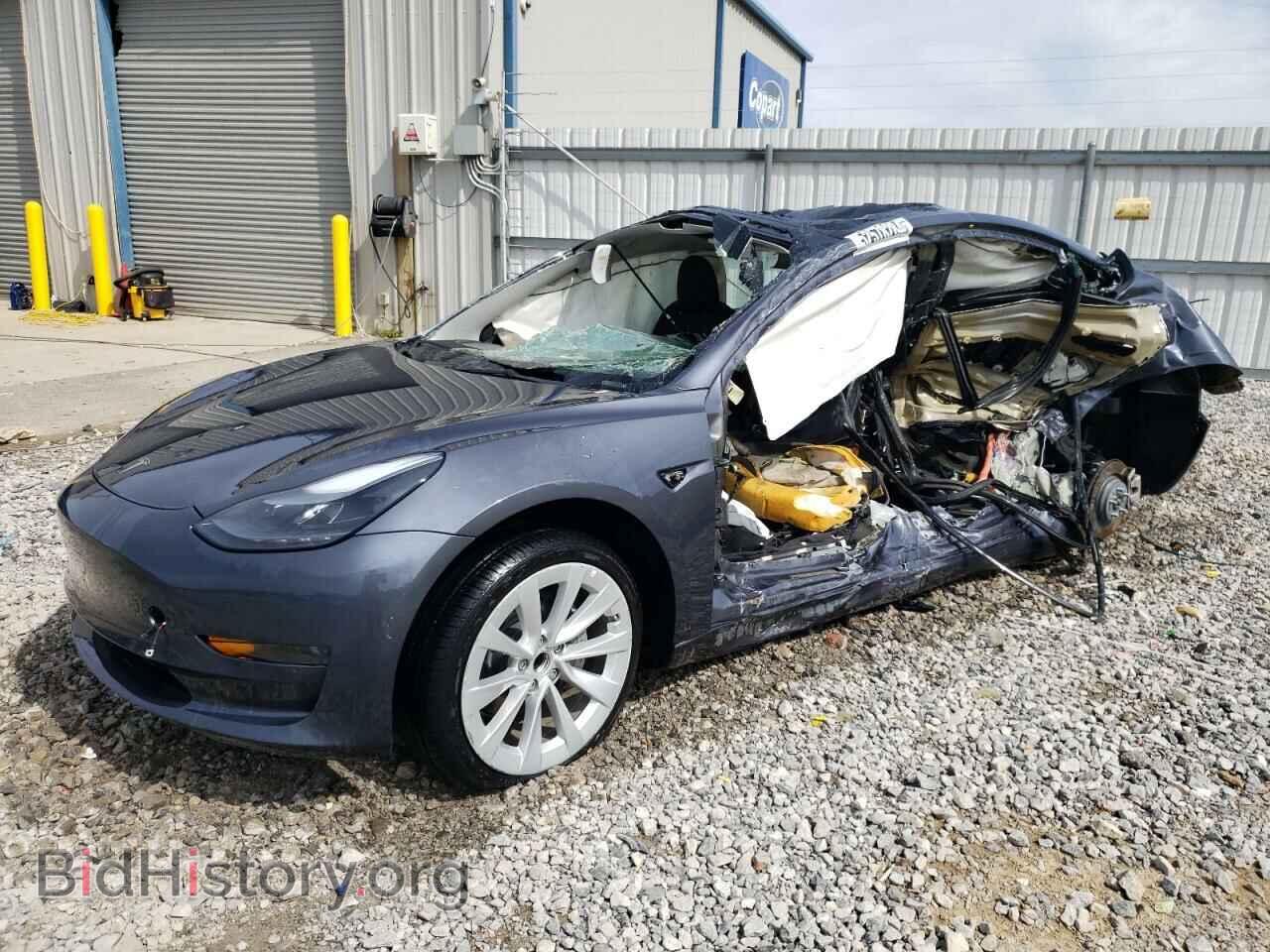 Фотография 5YJ3E1EA1PF434428 - TESLA MODEL 3 2023