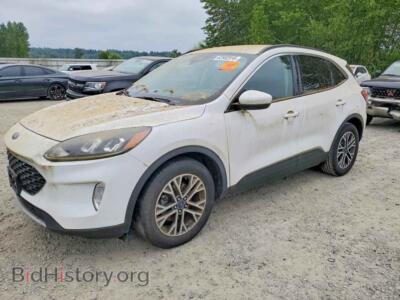 2020 Ford ESCAPE SEL, белый — VIN 1FMCU0H69LUA81308, Copart
