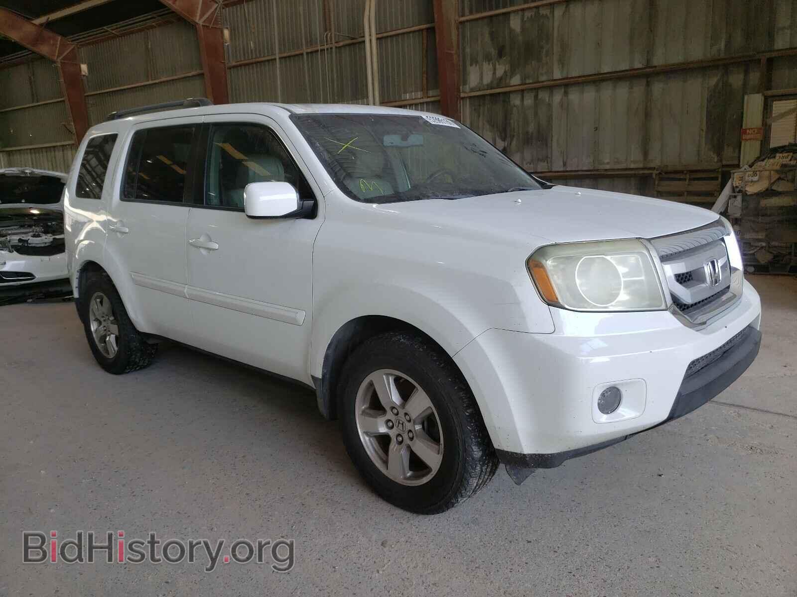 Фотография 5FNYF38579B002782 - HONDA PILOT 2009
