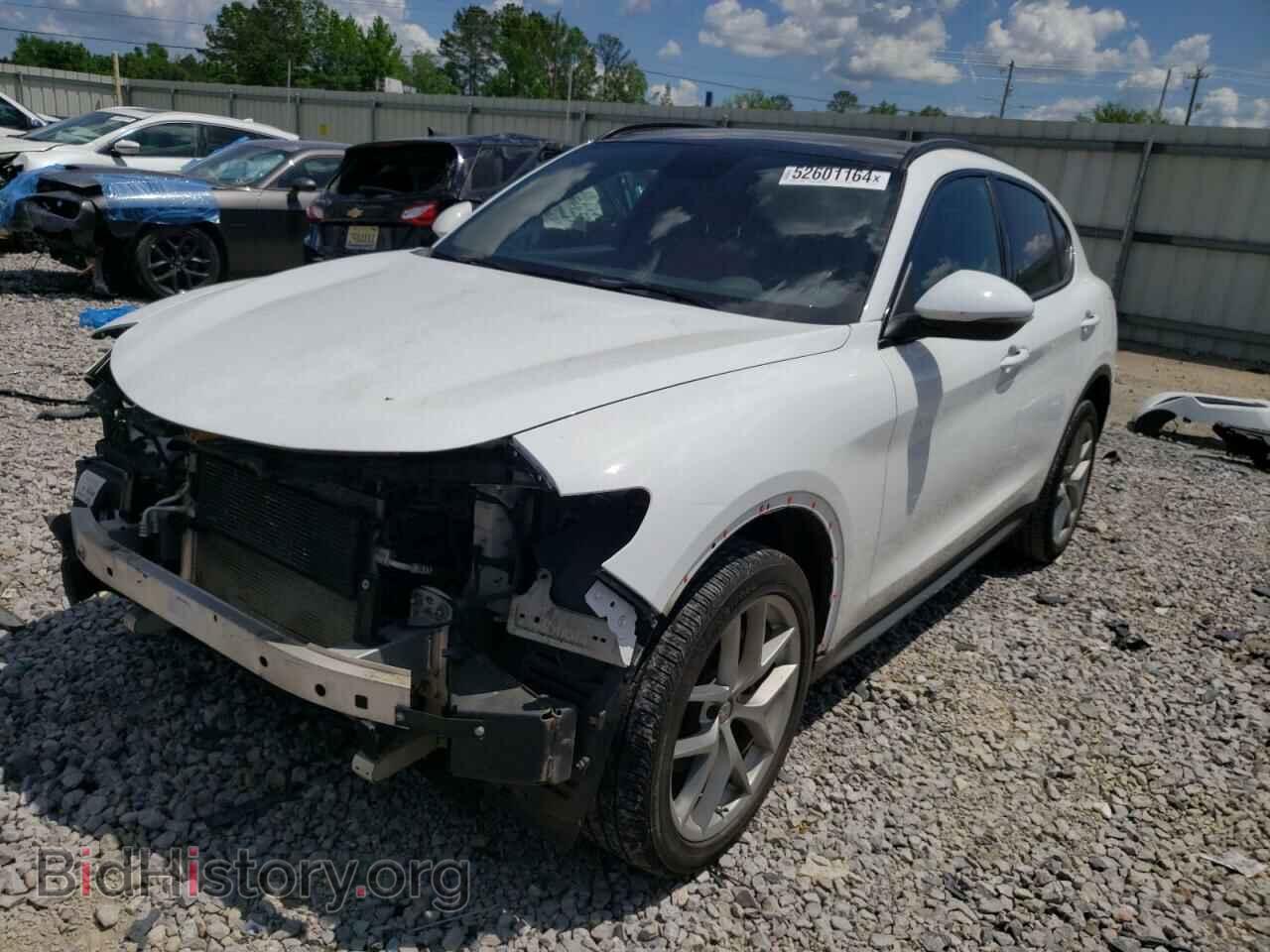 Photo ZASFAKNN7J7C01045 - ALFA ROMEO STELVIO 2018