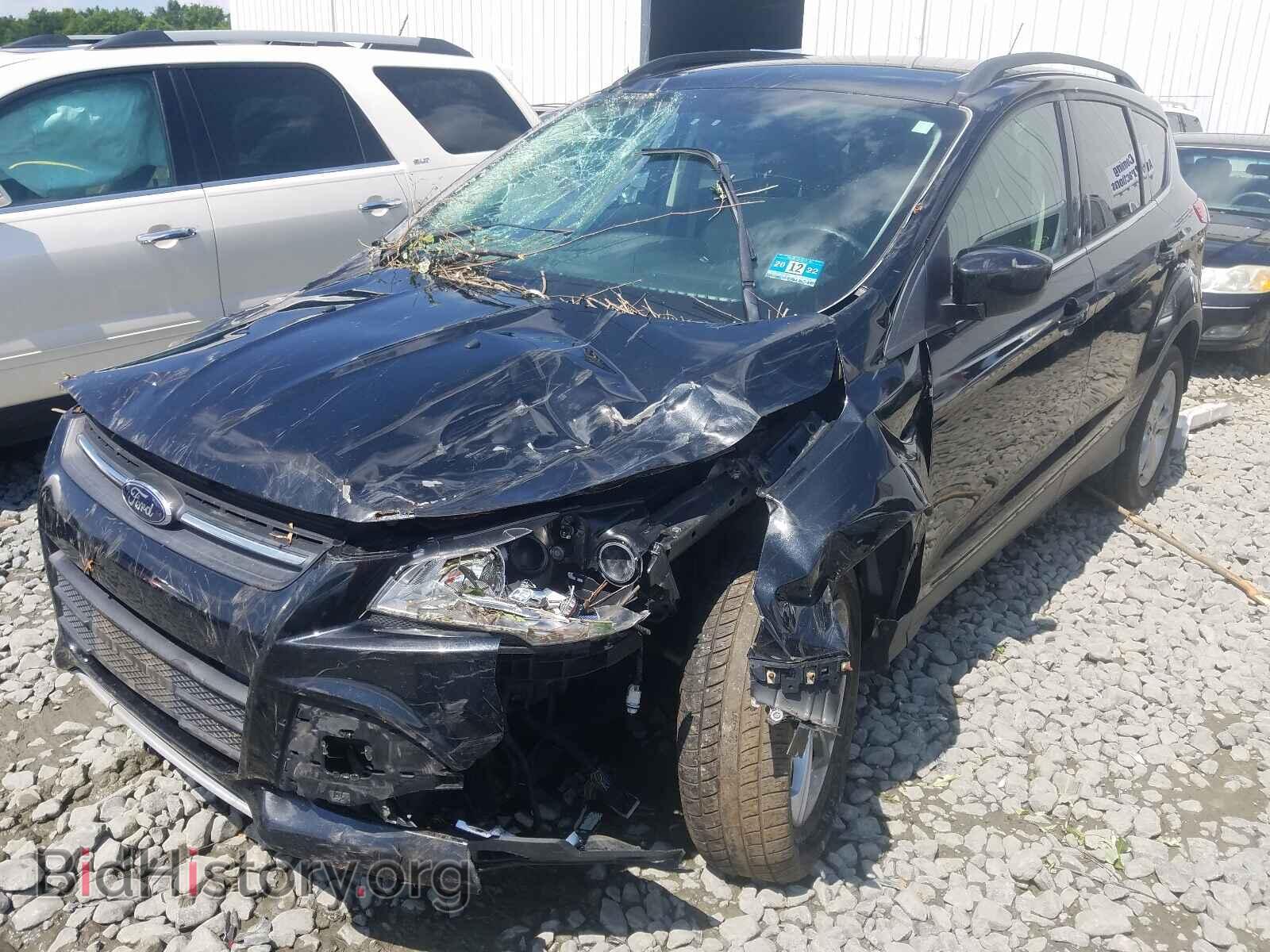 2014 FORD ESCAPE - VIN: 1FMCU0GX7EUB92081 - Фото 2