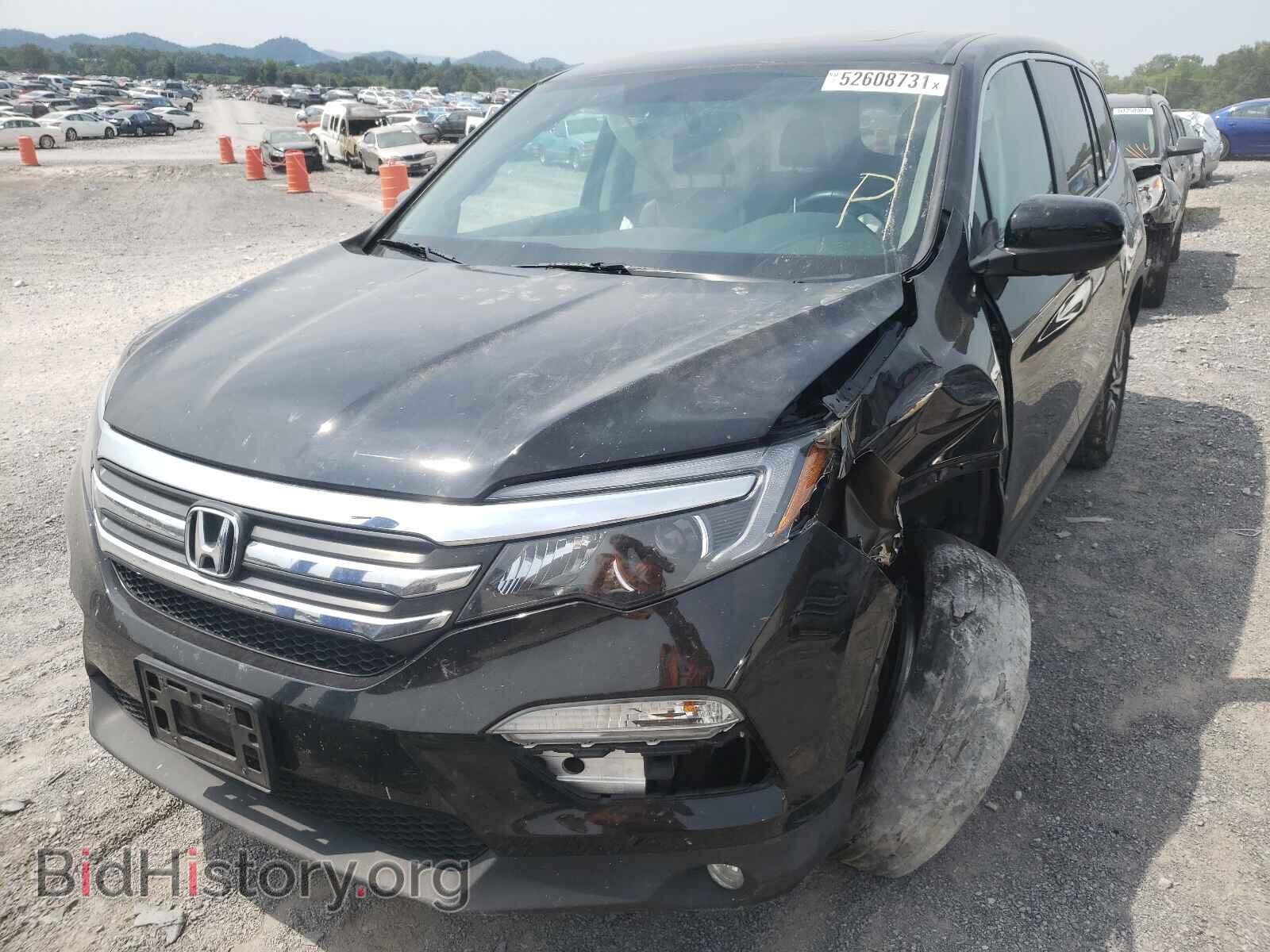 2017 HONDA PILOT - VIN: 5FNYF6H53HB010670 - Фото 2