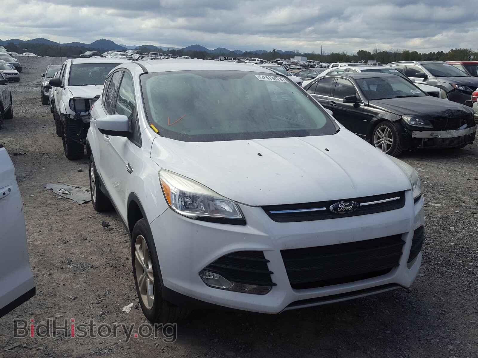 Photo 1FMCU9GXXDUC12102 - FORD ESCAPE 2013