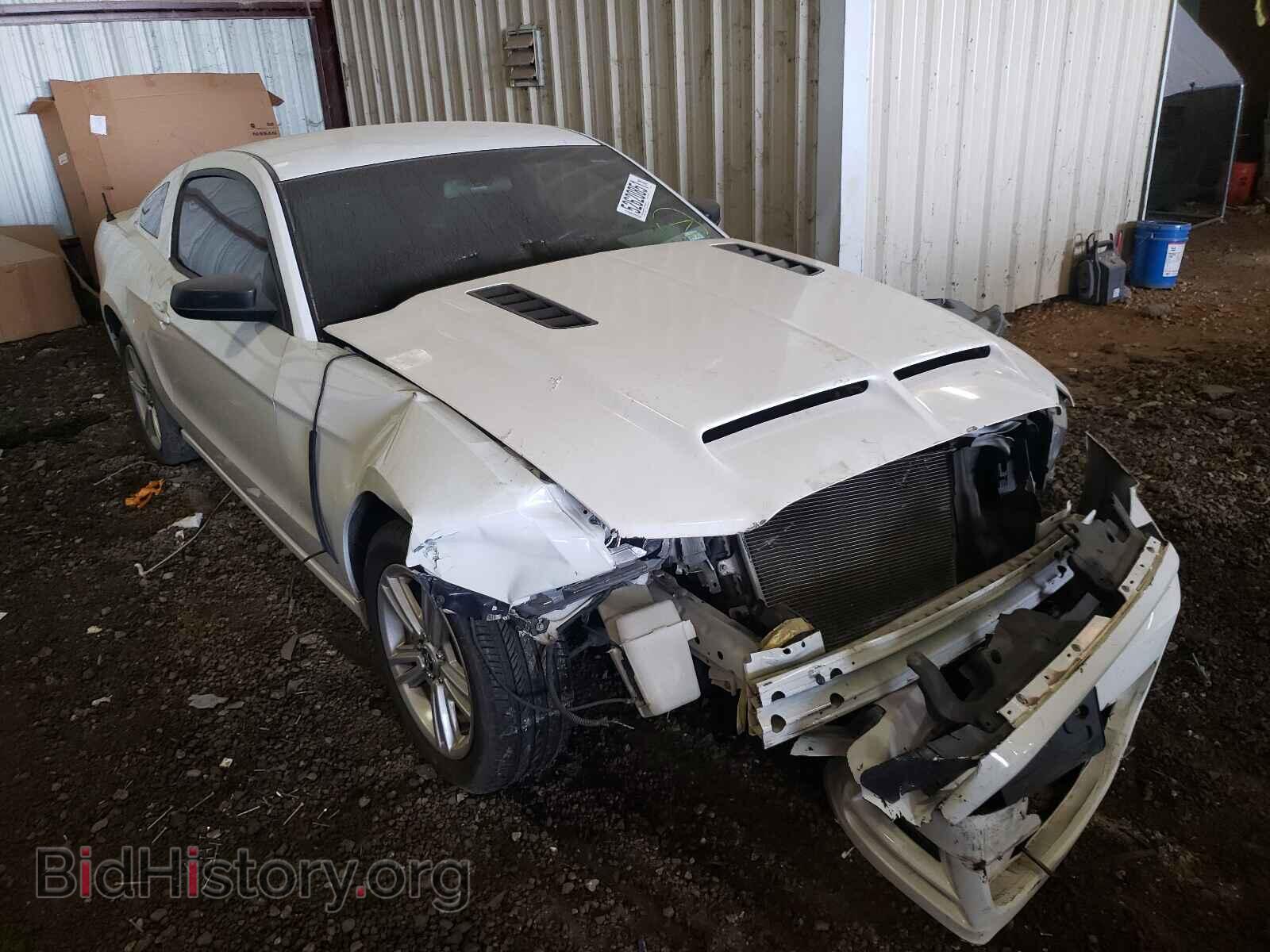 Фотография 1ZVBP8AM9E5291237 - FORD MUSTANG 2014