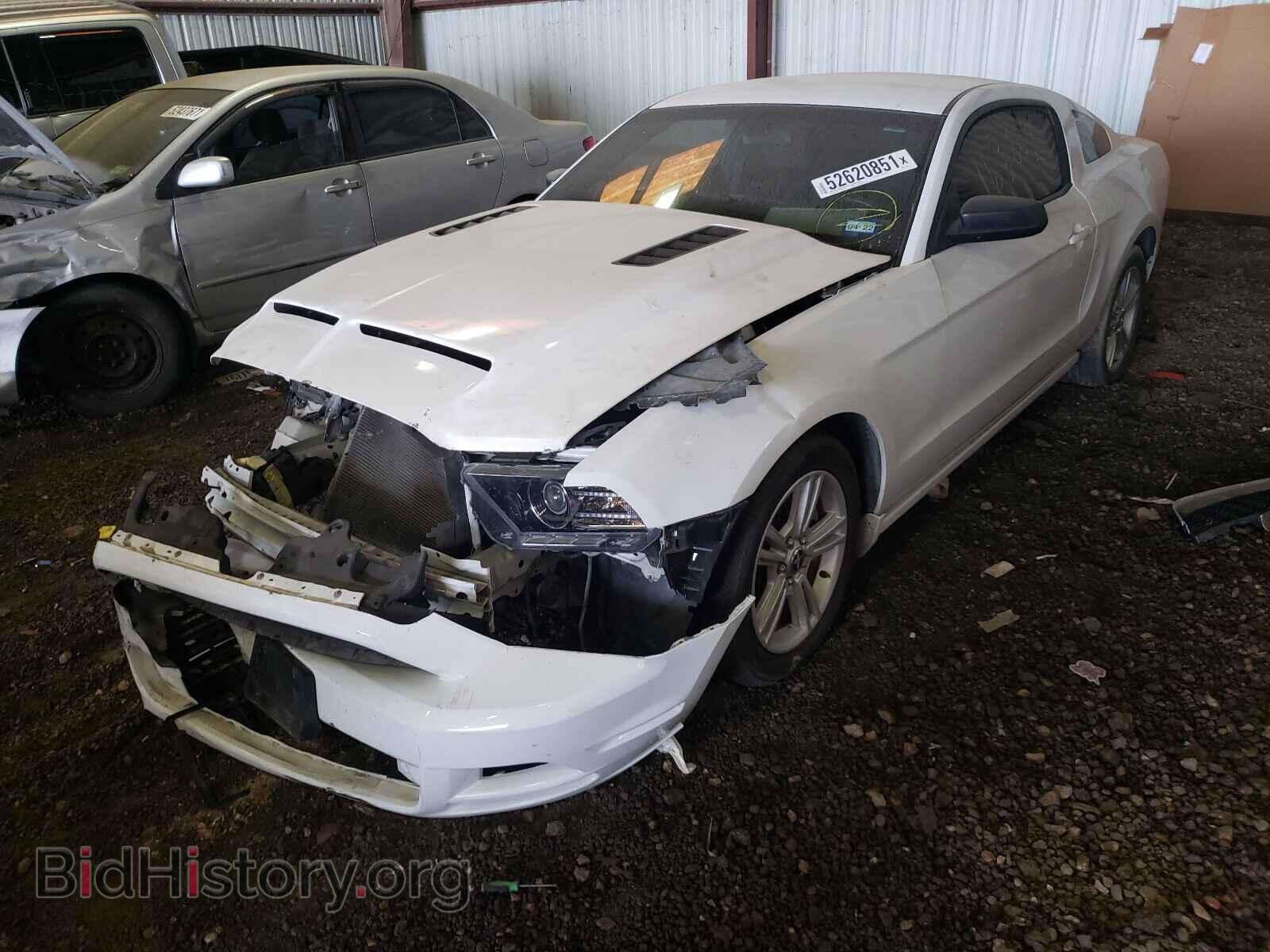 2014 FORD MUSTANG - VIN: 1ZVBP8AM9E5291237 - Фото 2