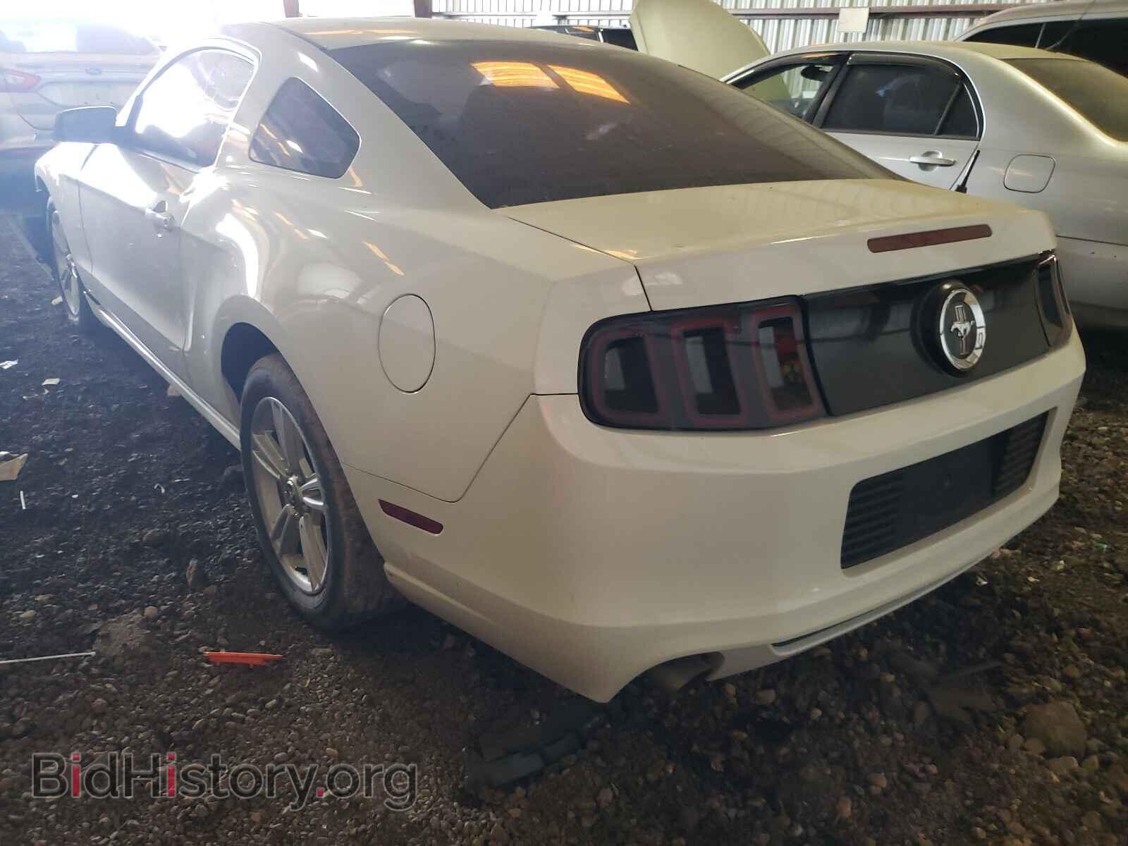 2014 FORD MUSTANG - VIN: 1ZVBP8AM9E5291237 - Фото 3