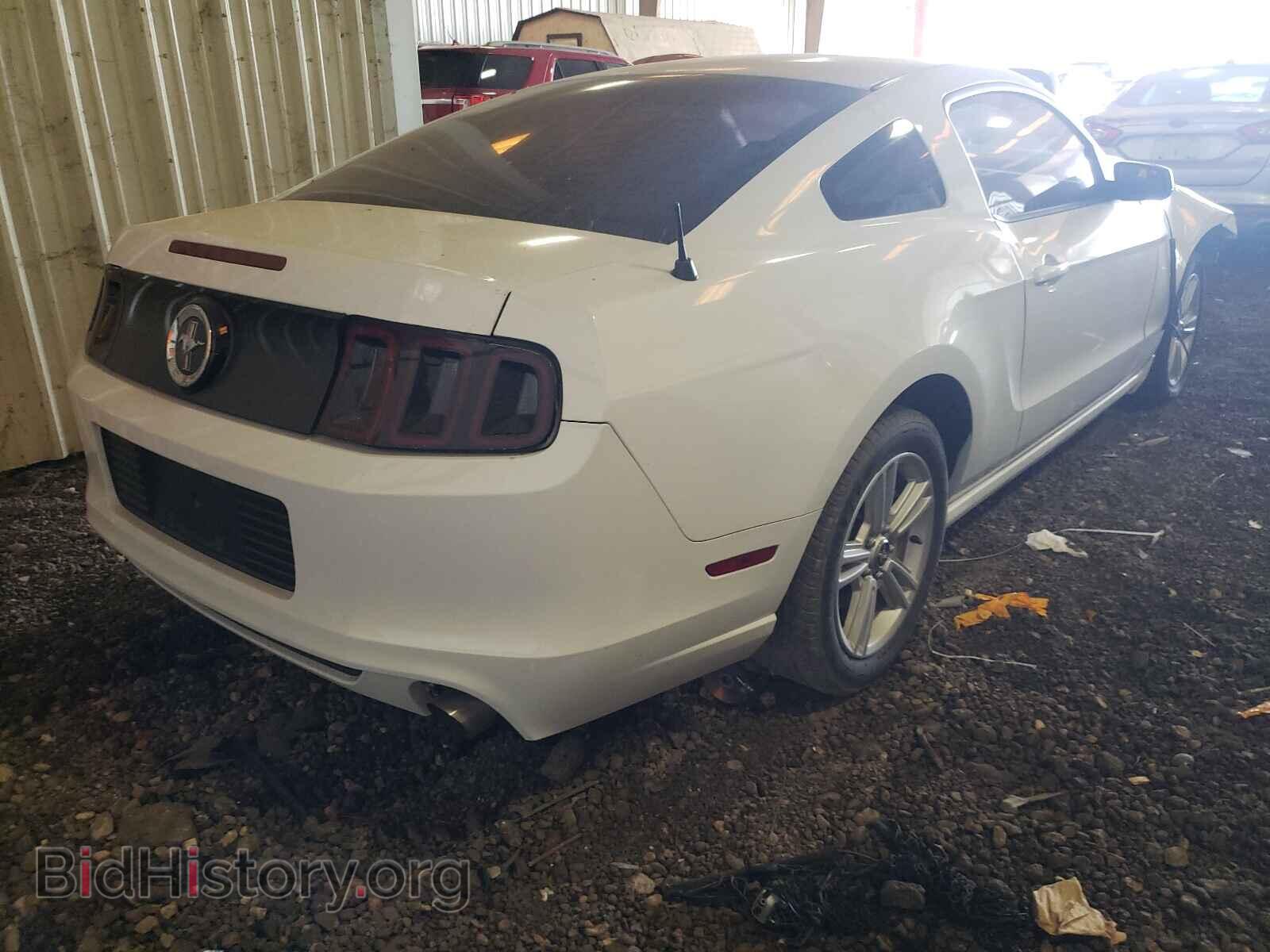 2014 FORD MUSTANG - VIN: 1ZVBP8AM9E5291237 - Фото 4