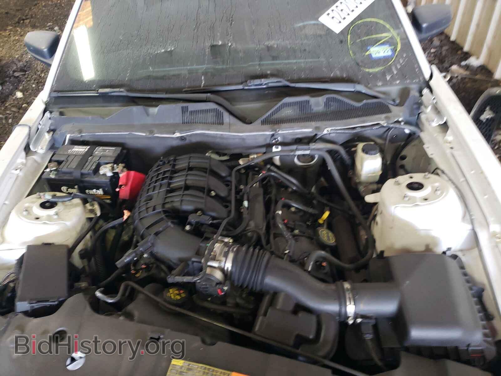 2014 FORD MUSTANG - VIN: 1ZVBP8AM9E5291237 - Фото 7