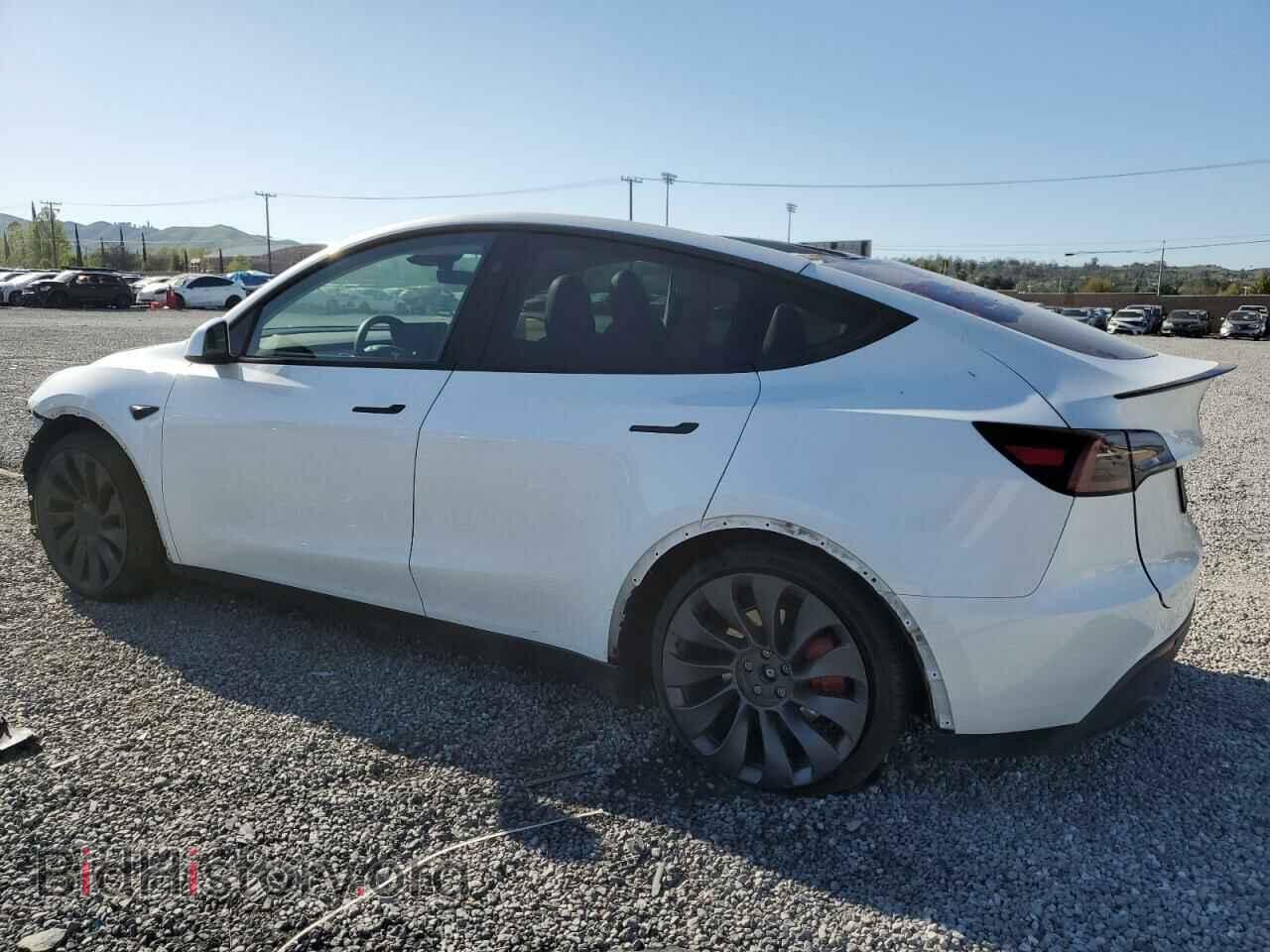 2024 TESLA MODEL Y - VIN: 7SAYGDEF2RF061404 - Фото 2