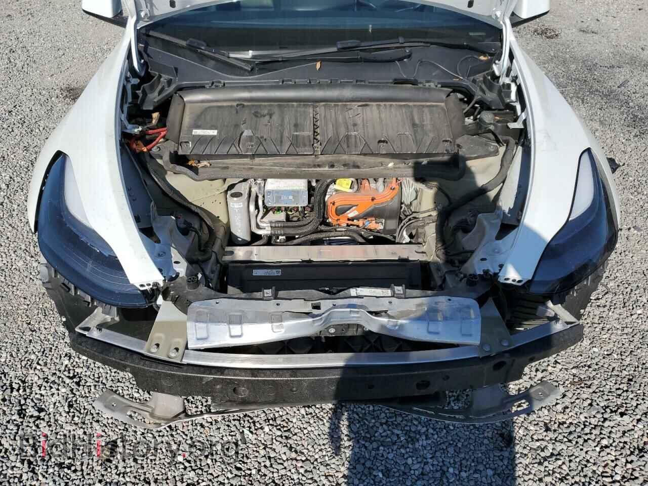 2024 TESLA MODEL Y - VIN: 7SAYGDEF2RF061404 - Фото 13