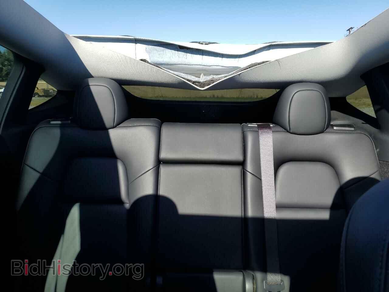 2024 TESLA MODEL Y - VIN: 7SAYGDEF2RF061404 - Фото 10