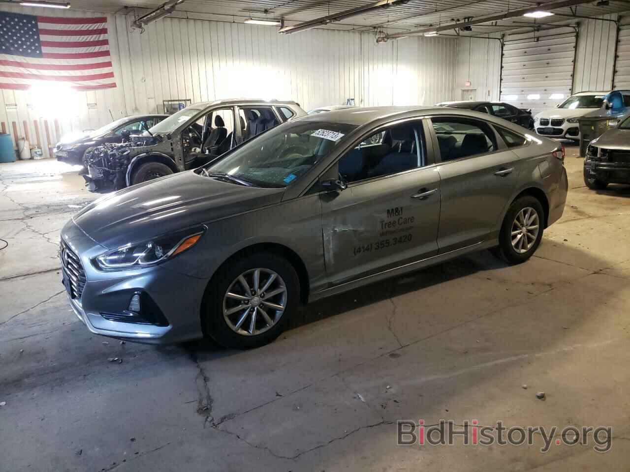 Photo 5NPE24AF7KH745778 - HYUNDAI SONATA 2019